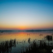 Sigma シグマ のデジタルカメラsigma Dp0 Quattro で撮影した写真 画像 一覧 写真共有サイト Photohito