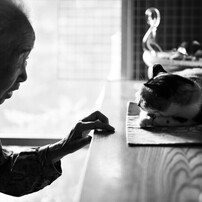 月子さんの写真一覧 投稿が新しい順 写真共有サイト Photohito