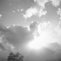 Sigma シグマ のデジタルカメラsigma Dp0 Quattro で撮影した写真 画像 一覧 写真共有サイト Photohito