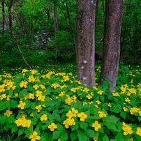 Fujifilm 富士フイルム のレンズ フジノンレンズ Xf16mmf2 8 R Wr ブラック で撮影した写真 画像 一覧 写真共有サイト Photohito