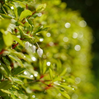 Sigma シグマ のレンズ 30mm F2 8 Dn シルバー マイクロフォーサーズ用 で撮影した写真 画像 一覧 写真共有サイト Photohito