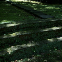 TAMRON(タムロン)のレンズ SP 300mm F/2.8 LD [IF] で撮影した写真