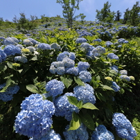 Canon キヤノン のレンズ Ef11 24mm F4l Usm で撮影した写真 画像 一覧 写真共有サイト Photohito