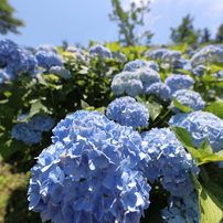 Canon キヤノン のレンズ Ef11 24mm F4l Usm で撮影した写真 画像 一覧 写真共有サイト Photohito