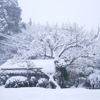 すぐそこの冬