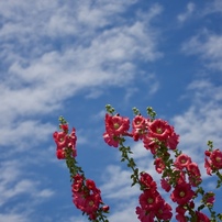 空へ