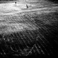 FUJIFILM FinePix F900EXR コンデジ 作例あり Fujifilm FinePix F900EXR sample pictures - CNET