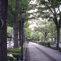 Fujica GER コンパクトフィルムカメラ　実写作例あり Fujica GER コンパクトフィルムカメラ 実写作例あり - メルカリ