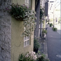 Fujica GER コンパクトフィルムカメラ　実写作例あり Fujica GER コンパクトフィルムカメラ 実写作例あり - メルカリ