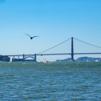 FUJIFILM(富士フイルム)のデジタルカメラFinePix F455 で撮影した写真