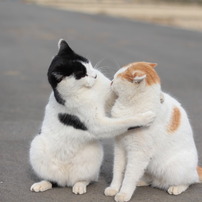 マ～マ～抑えて　抑えて・・・＾＾：