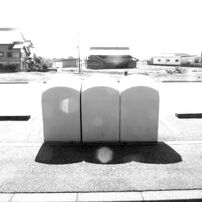 CANON(キヤノン)のデジタルカメラPowerShot SX130 IS で撮影した写真