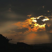 写真エッセイ：遍し光