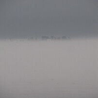 CANON(キヤノン)のデジタルカメラPowerShot SX130 IS で撮影した写真