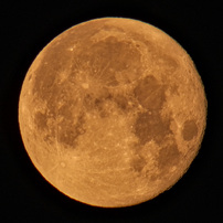 KYOCERA(京セラ)のレンズ Carl Zeiss Teletessar T* 300mm F4