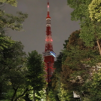 七夕の東京タワー