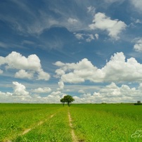 大地の写真 画像 写真集 写真共有サイト Photohito