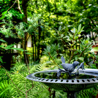 SIGMA(シグマ)のレンズ 30mm F2.8 EX DN [ソニー用] で撮影した