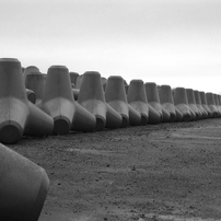 CANON(キヤノン)のデジタルカメラPowerShot SX130 IS で撮影した写真