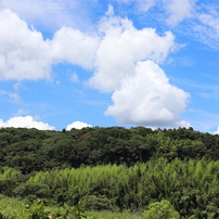 ぶらり内房の旅
