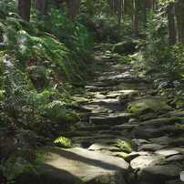 熊野古道　馬越峠