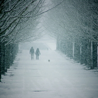 雪と子犬と、僕と君と
