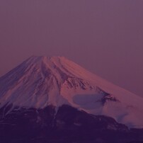 富士それぞれ