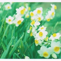 2011年2月の1