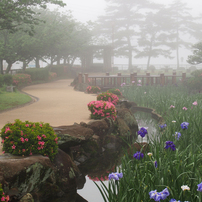 朝霧の風景