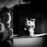 こっち来い！