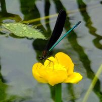 FUJIFILM(富士フイルム)のデジタルカメラFinePix F900EXR で撮影