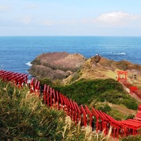 SONY(ソニー)のデジタルカメラサイバーショット DSC-W810 で撮影した