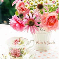 庭の薔薇　コーヒータイムを薔薇と
