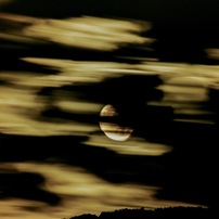 KYOCERA(京セラ)のレンズ Carl Zeiss Teletessar T* 300mm F4