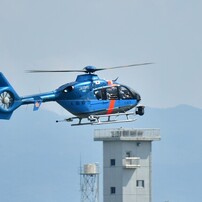 小牧空港周辺で撮影した航空機　15