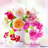 庭の薔薇(秋薔薇）
