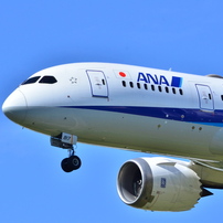 ANA 263