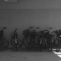 写真指編：朝の光：B&W