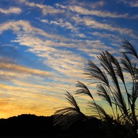 夕日　ススキ　雲　・・・秋の空ですね～