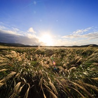 SIGMA(シグマ)のレンズ 12-24mm F4.5-5.6 EX DG ASPHERICAL HSM (ｷﾔﾉﾝ