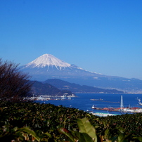 SANYO(サンヨー)のデジタルカメラE6 で撮影した写真(画像)一覧- 写真