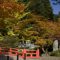 高野山の紅葉#3