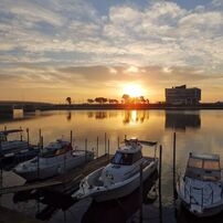 SP820UZ❤️野球や運動会撮影に❤️超望遠896mm❤️スマホ、iPadに写真転送 Amazon | OLYMPUS デジタルカメラ STYLUS SP-820UZ 1400万画素