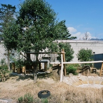 「動物園にて　At the Zoo」