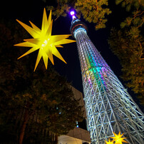 星降る夜に