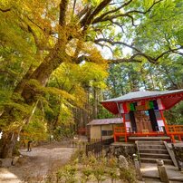 作例付！laowa 17mm f4 ultra-wide GFX ZERO-D 17mm.jpg