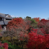 SIGMA(シグマ)のレンズ 24mm F1.8 EX DG ASPHERICAL MACRO