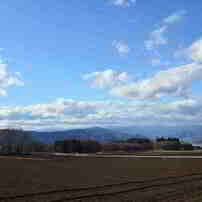 TAMRON(タムロン)のレンズ AF 19-35mm F/3.5-4.5 (Model A10) (ﾆｺﾝ用