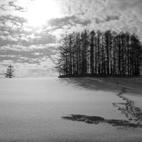 OLYMPUS(オリンパス)のデジタルカメラCAMEDIA C-740 Ultra Zoom で撮影