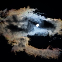 Sky Fish